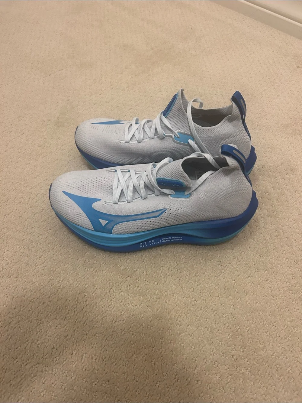 Mizuno Neo Vista Running Shoes